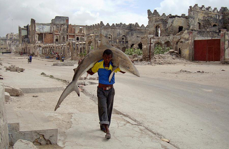 Omar Feisal (Somalia, W.P.F., 1er lugar, categoría: Foto única de vida cotidiana) / Hombre cargando un tiburón por las calles de Mogadishu, Somalia, 2010.