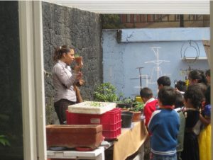 Aprendiendo a cuidar el Medio Ambiente